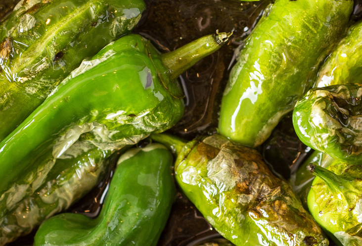 spansk på Studieskolen